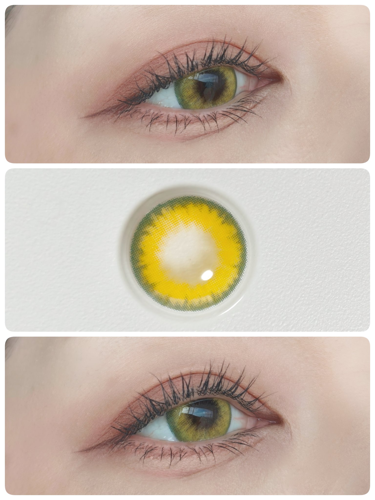 STAR WAY <BROWN> ※乱視用