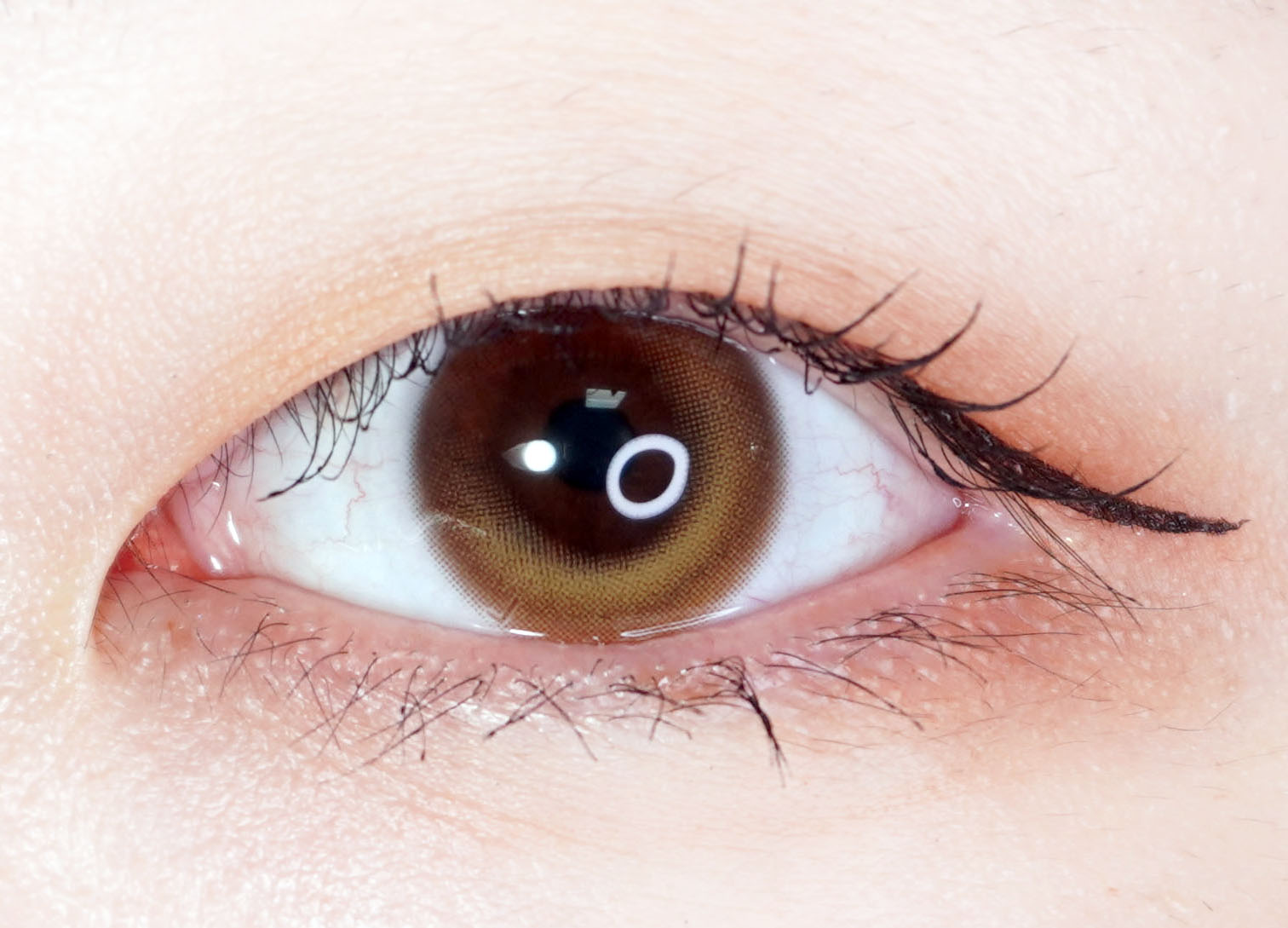 メロウ ブラウン