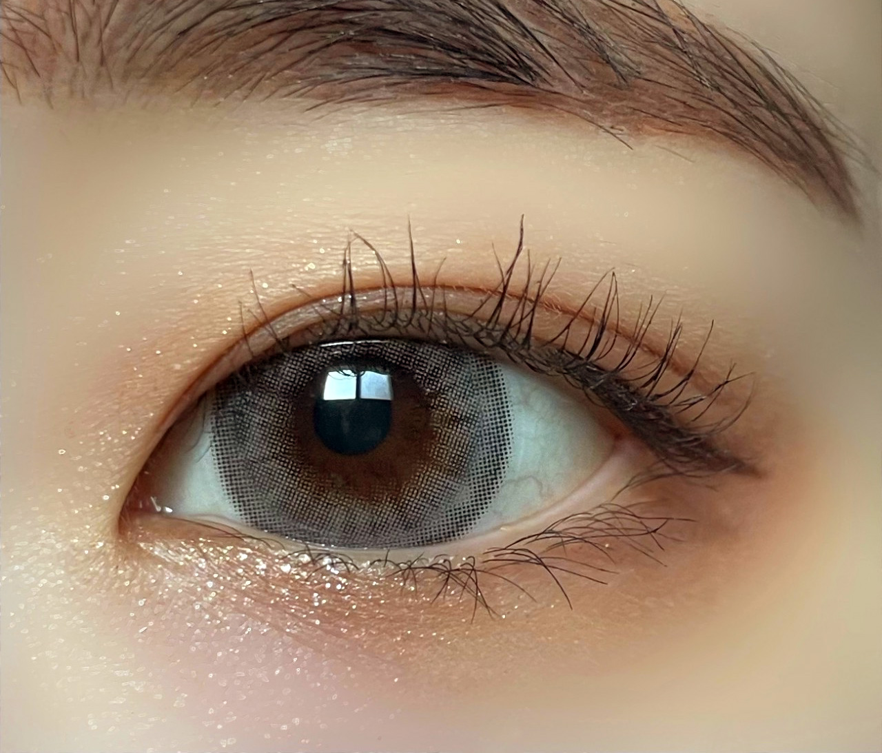 Torica Frappe Custom Gray S、M、Lの3サイズ