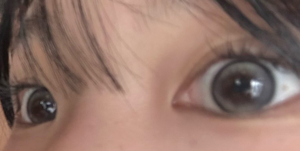 Demeter 13.5 Ash Brown Silicone - 1 Month (2pcs) [14.2mm]