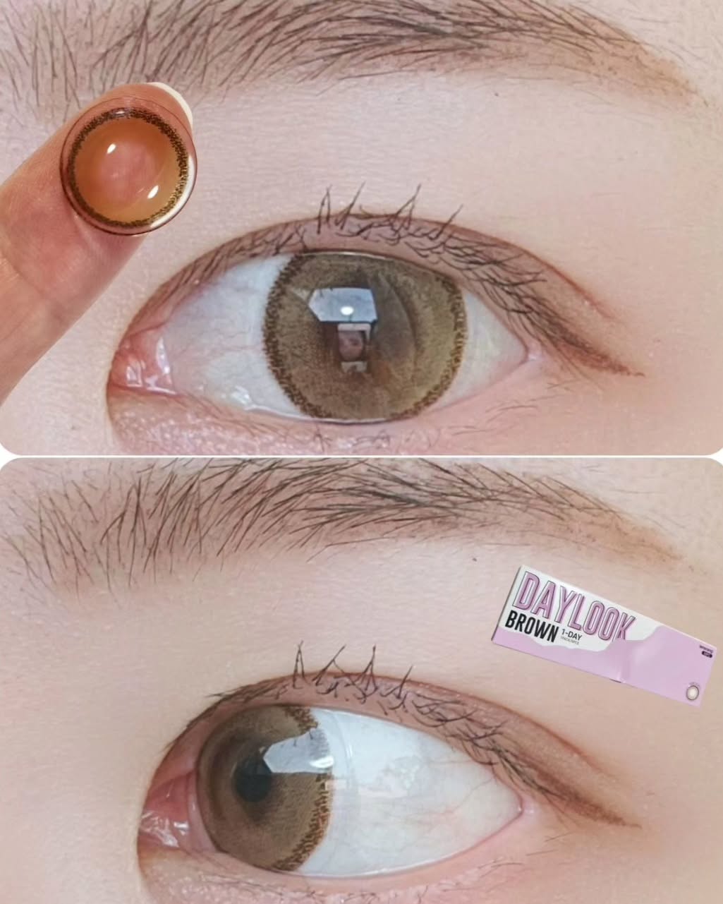 デイールック 1 Day/ブラウン