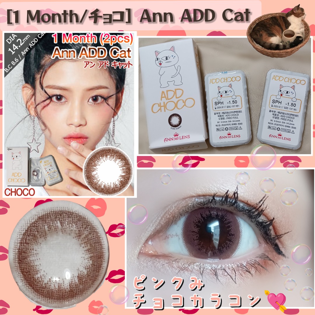 [1 Month/チョコ] Ann ADD Cat (1箱 2枚)