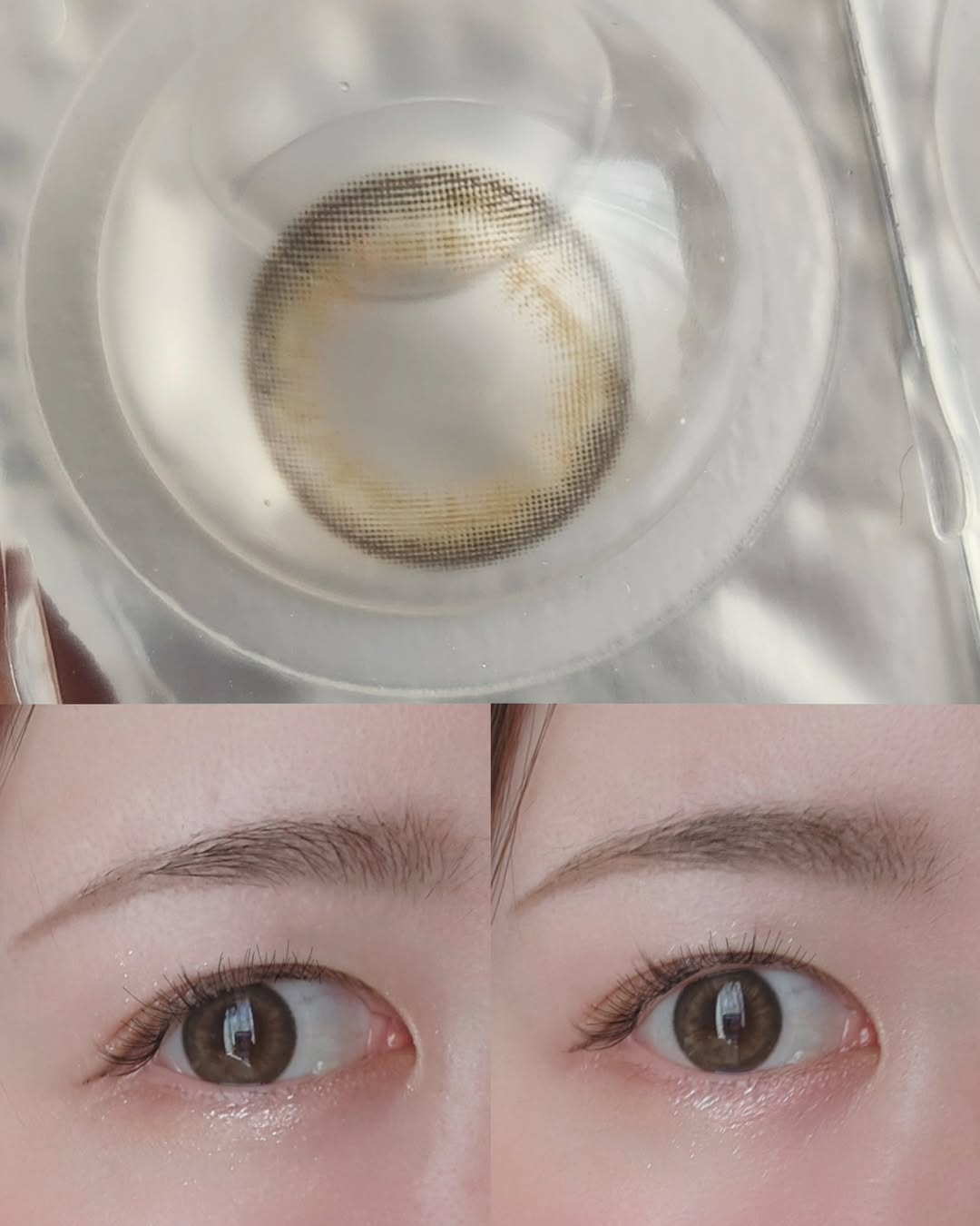 Bittersweet Kristin Olive Brown 1dayカラコン