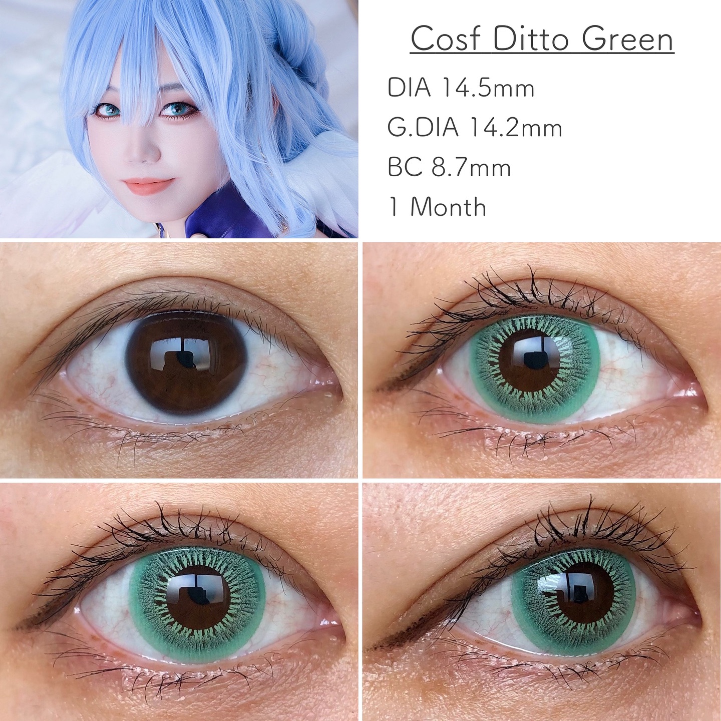 Cosf Ditto Green