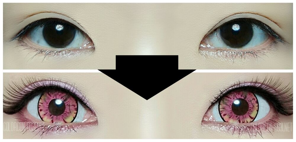 ■Fairy POP/フェアリーポップ■