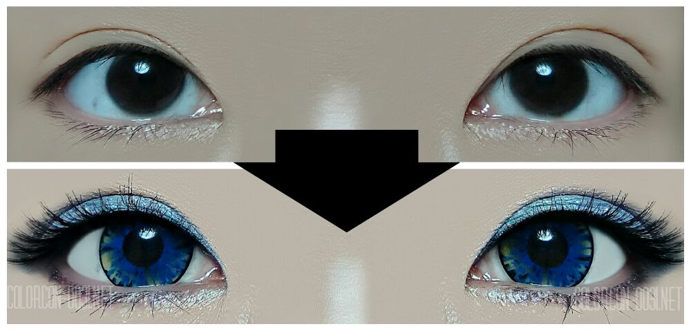 ■Fairy POP/フェアリーポップ■