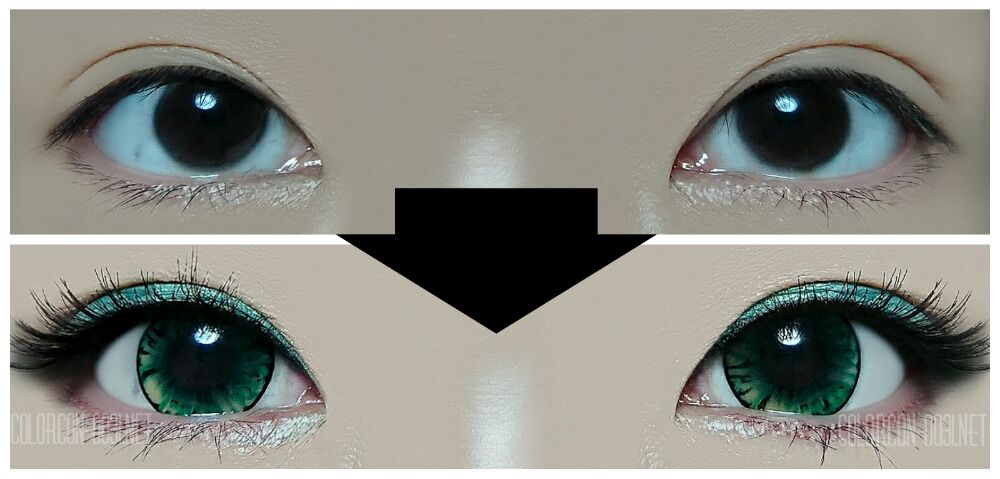 ■Fairy POP/フェアリーポップ■