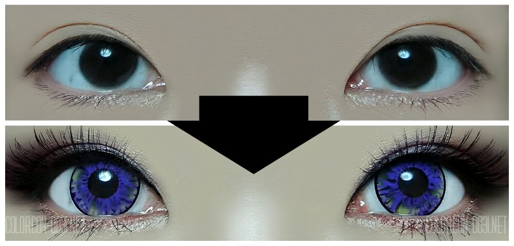 ■Fairy POP/フェアリーポップ■