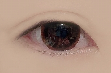 ウェンディ ジェナ WX