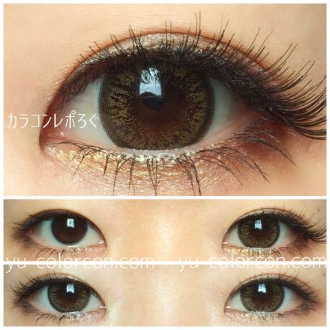 【JB22 sophie type brown】