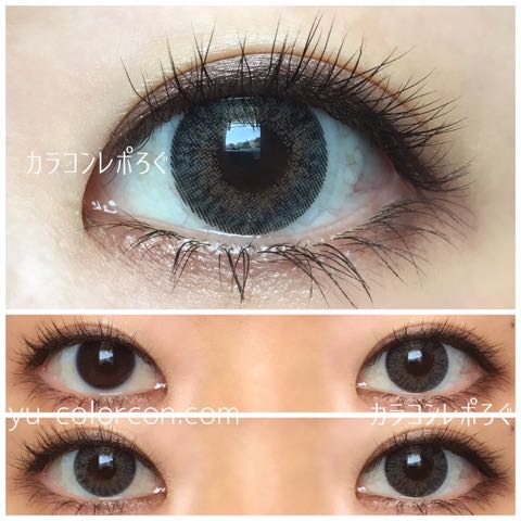 【bunny holiday gray】