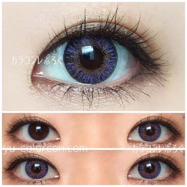 【bunny holiday violet】