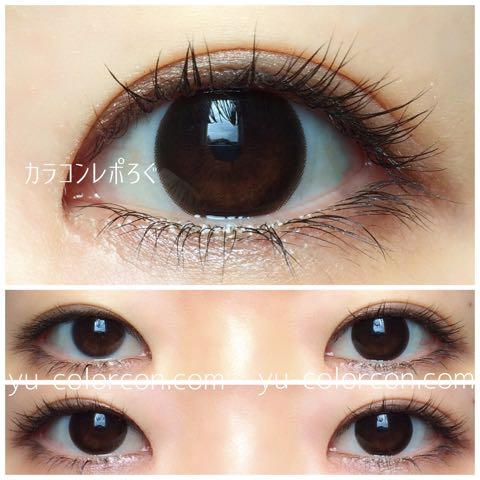 【Wing brown】
