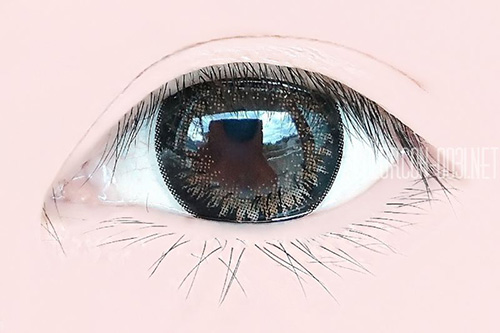 ■Dali Extra2/ダリ エクストラ2 Brown■