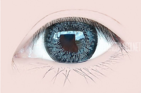 ■Dali Extra2/ダリ エクストラ2 Gray■