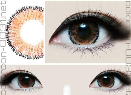 ■Dali 3Color/ダリ 3カラー Brown■