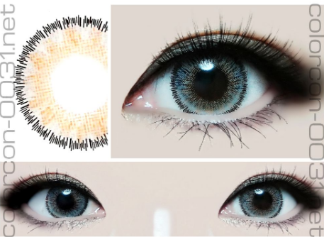 ■Dali 3Color/ダリ 3カラー Gray■