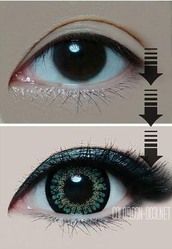 ■Sweet 3/スイート3 Green■