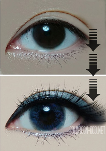 ■Narcissus/ナルシソス Blue■