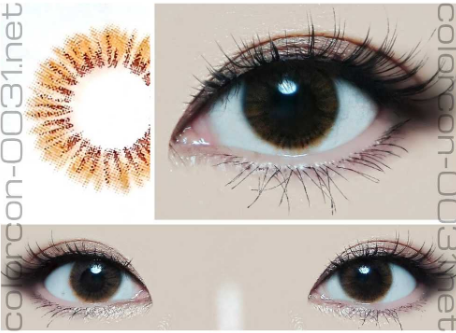 ■EyeView Pin-Up/アイビュー ピンアップ Brown■