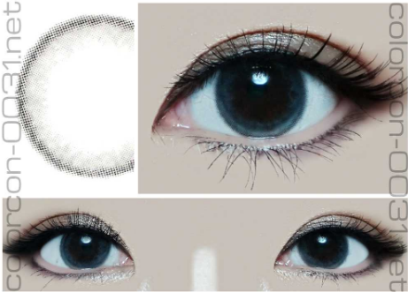 ■EyeView Blush/アイビュー ブラッシュ Gray■