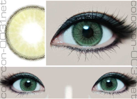 ■NEW Hybrid Edge/ニュー ハイブリッド エッジ Green■