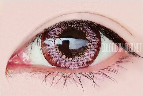 ■Fire Belle/ファイヤーベル Pink■