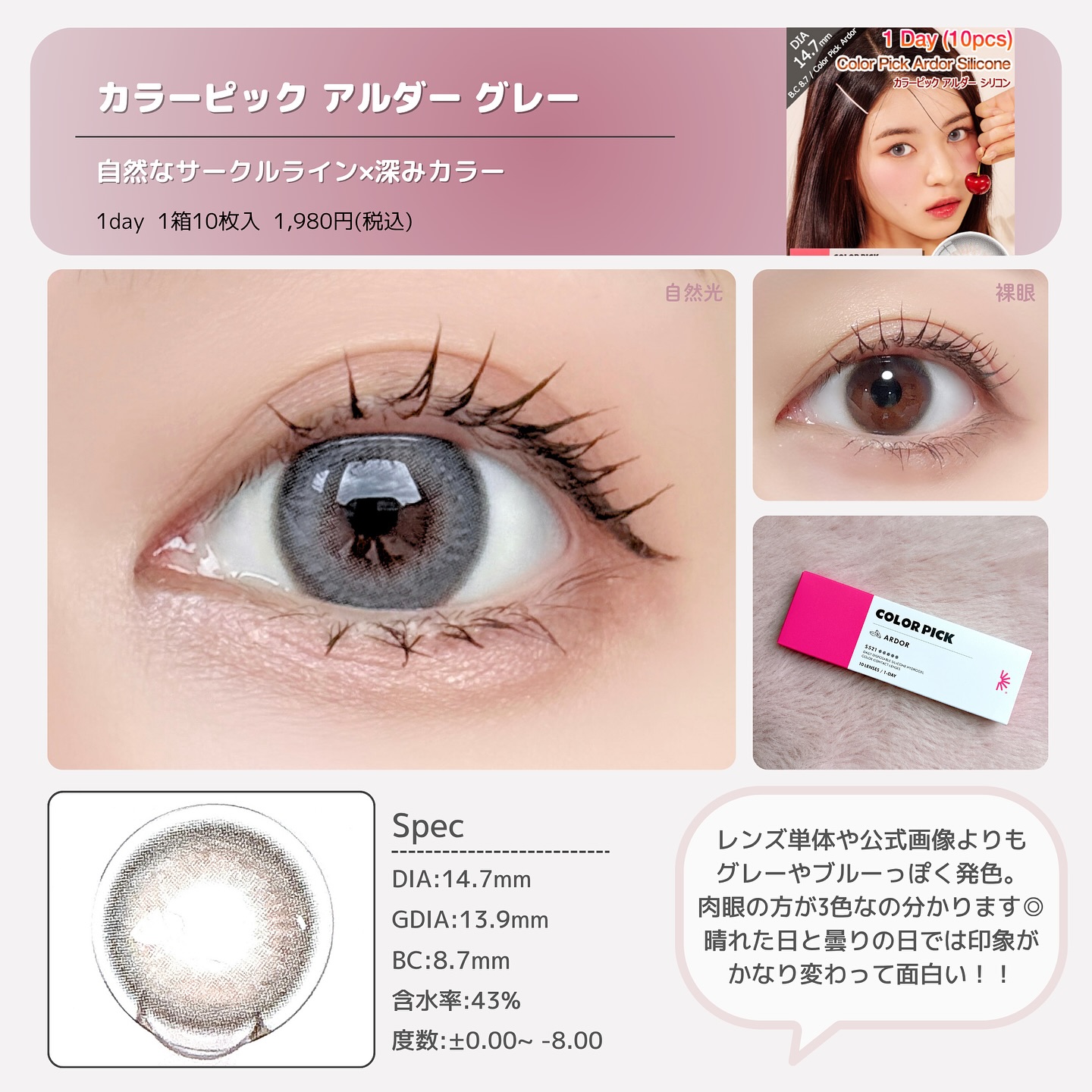 カラーピック アルダーグレー1day 1箱10枚入