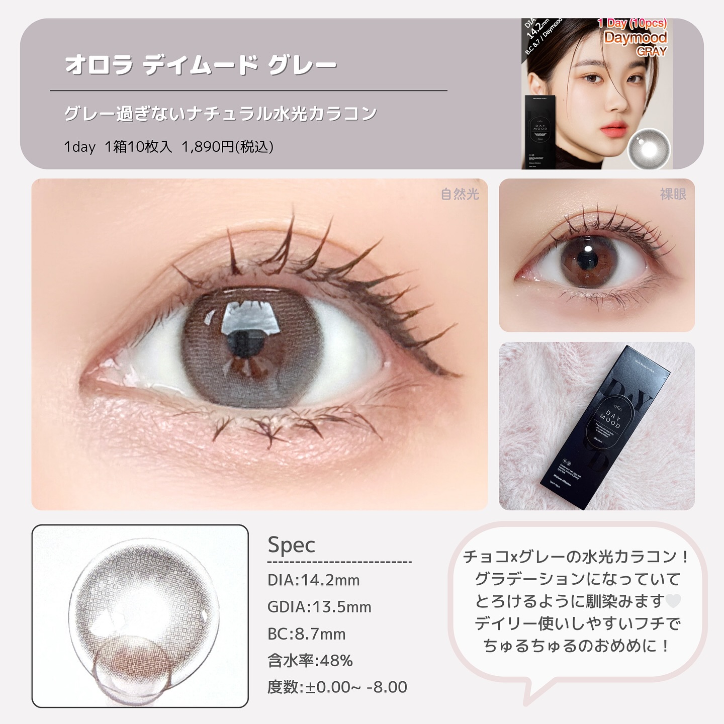 オロラデイムード グレー1day 1箱10枚入