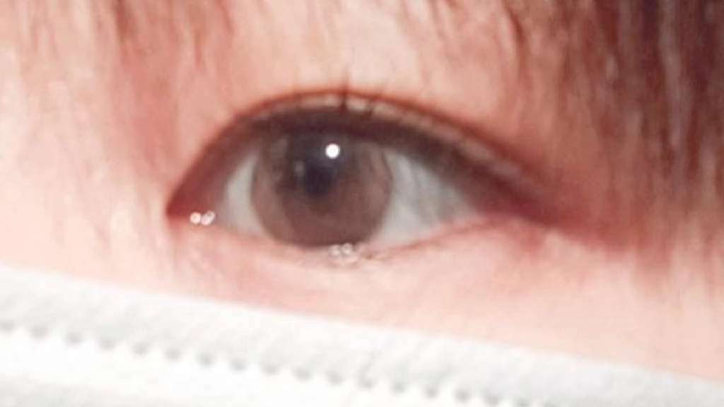 Aube Pie Moon Brown Silicone - 1 Month (2pcs) [14.2mm]