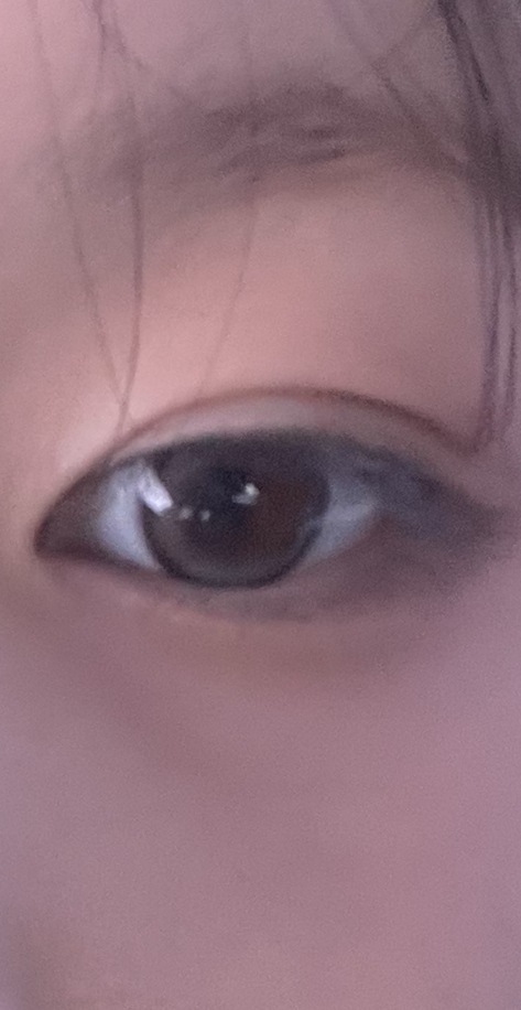 Demeter 13.0 Brussels Choco Silicone