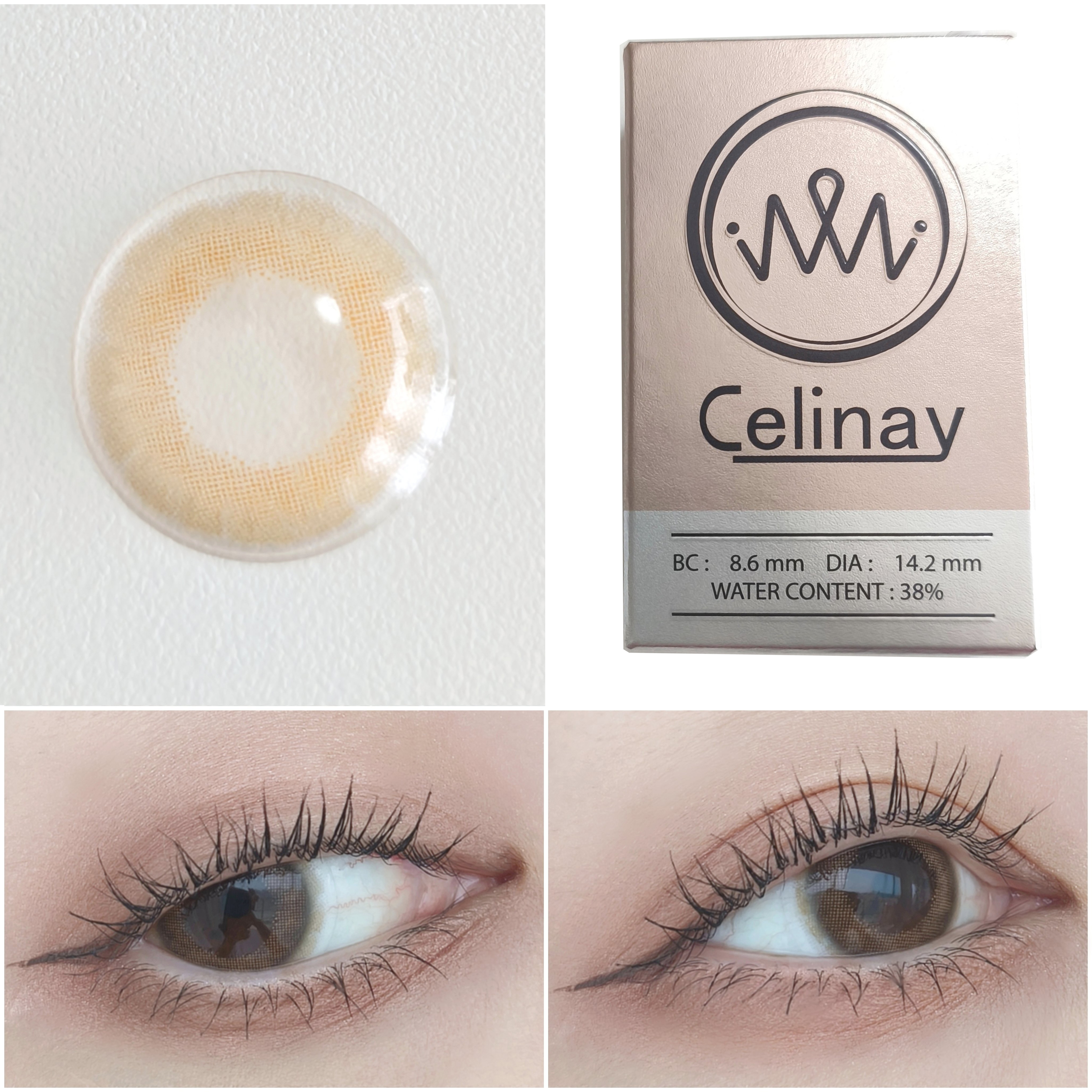 Celinay<BROWN>  1ヶ月